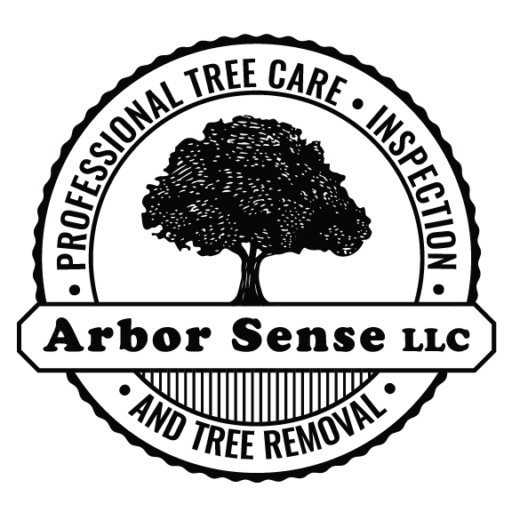 http://threesevenhosting.com/barbeedemo/wp-content/uploads/2021/07/cropped-Arbor-Sense-Black-Logo.png